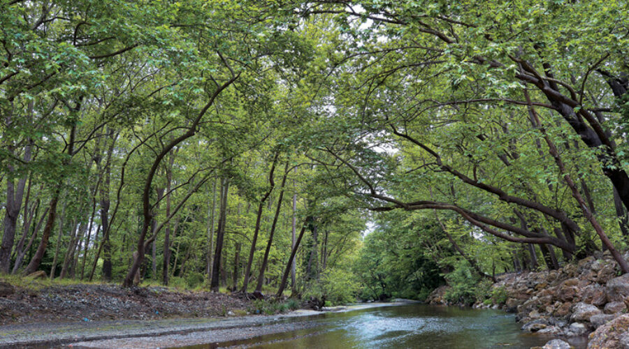 10 λόγοι για να επισκεφθείτε την Εύβοια